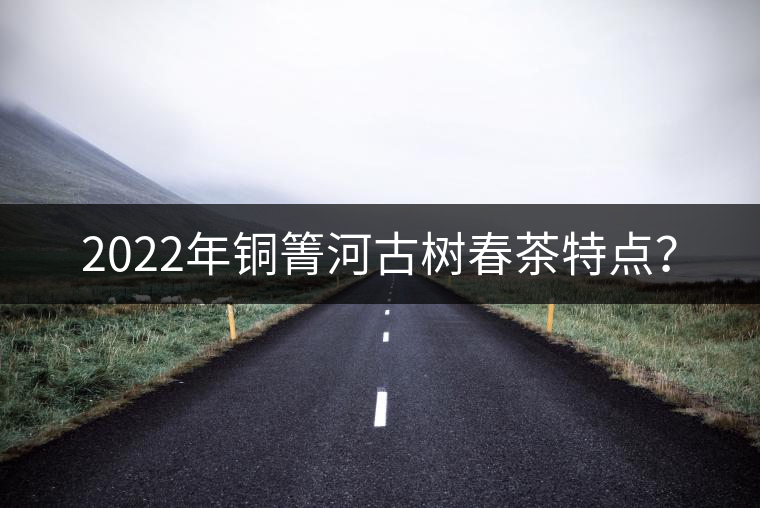 2022年銅箐河古樹春茶特點？