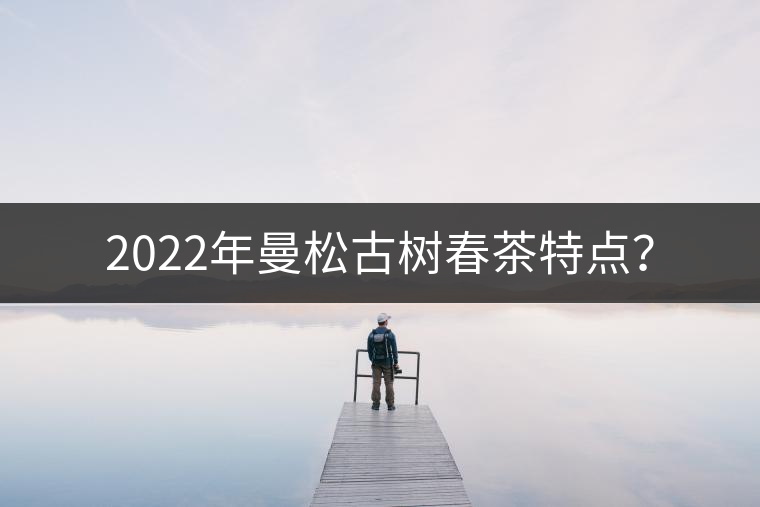 2022年曼松古樹春茶特點(diǎn)？