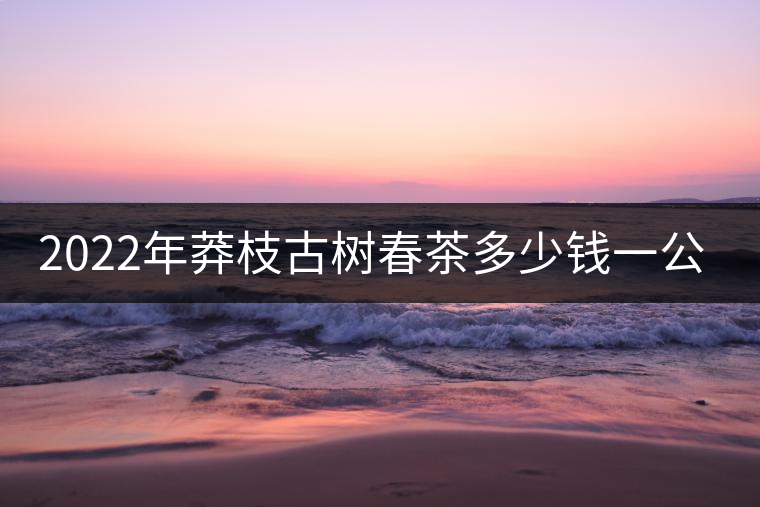 2022年莽枝古樹春茶多少錢一公斤？