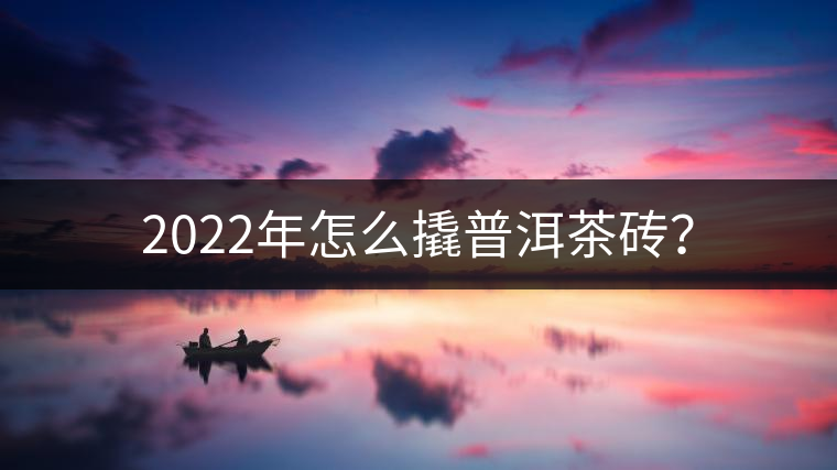 2022年怎么撬普洱茶磚？