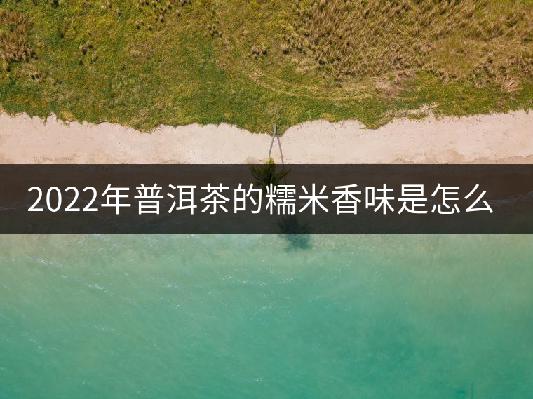 2022年普洱茶的糯米香味是怎么來的？