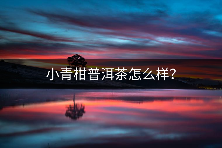 小青柑普洱茶怎么樣？