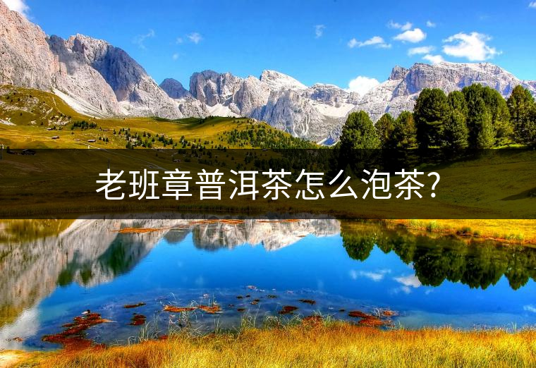 老班章普洱茶怎么泡茶?