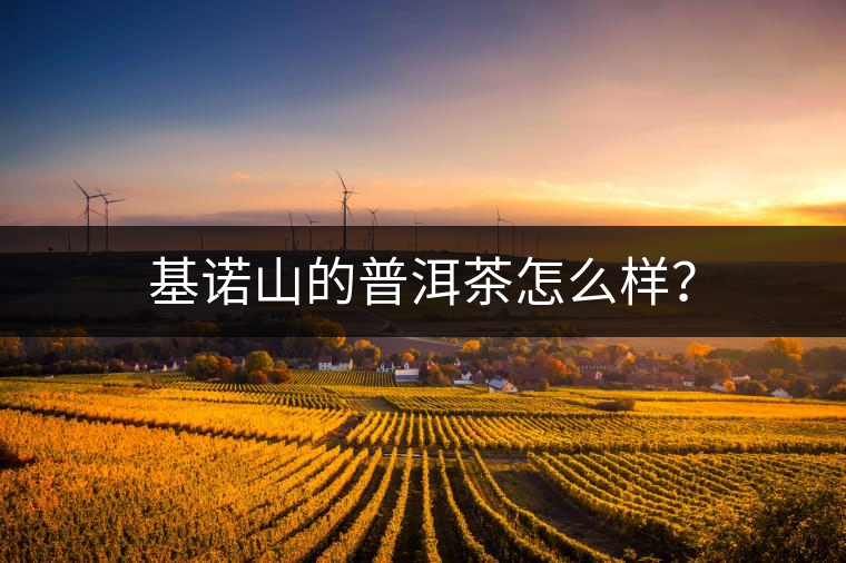 基諾山的普洱茶怎么樣？