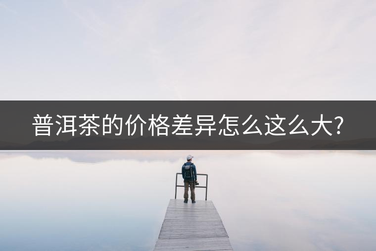 普洱茶的價(jià)格差異怎么這么大? 普洱茶的價(jià)格差異怎么這么大?