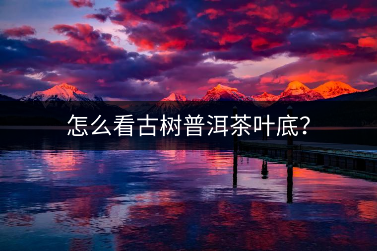 怎么看古樹普洱茶葉底？