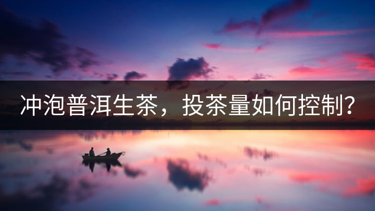 沖泡普洱生茶，投茶量如何控制？