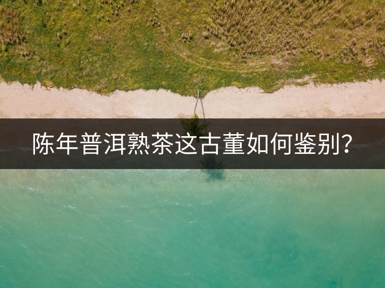 陳年普洱熟茶這古董如何鑒別？