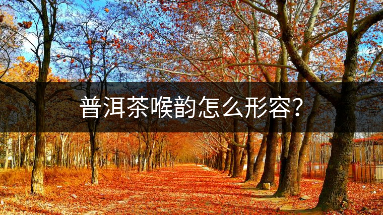 普洱茶喉韻怎么形容？