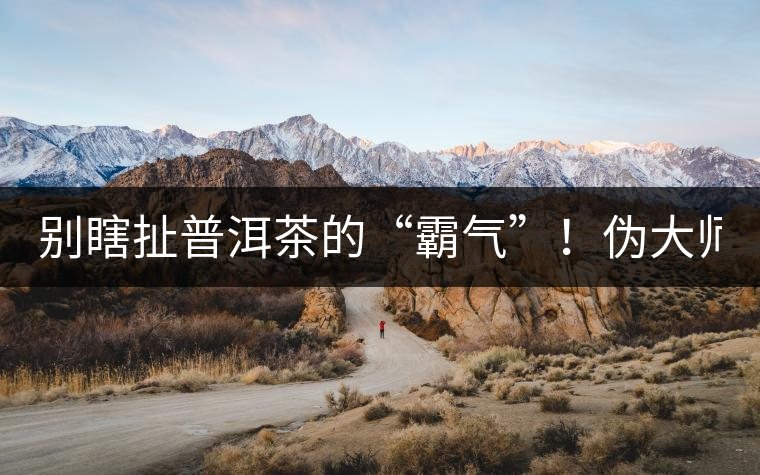 別瞎扯普洱茶的“霸氣”！偽大師！