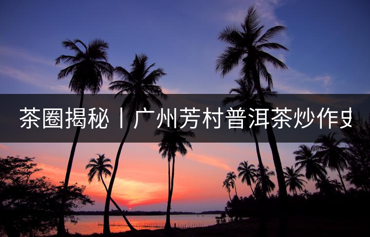 茶圈揭秘丨廣州芳村普洱茶炒作史全起底。