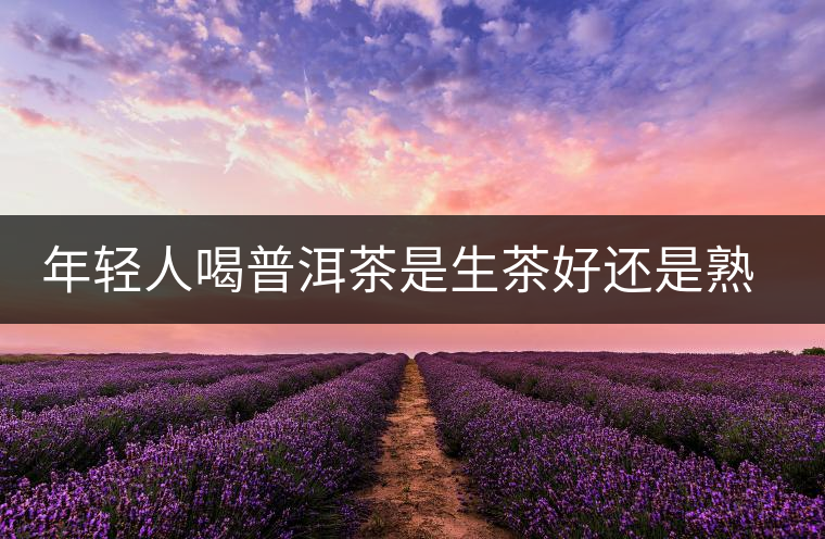 年輕人喝普洱茶是生茶好還是熟茶好？該怎么選擇？