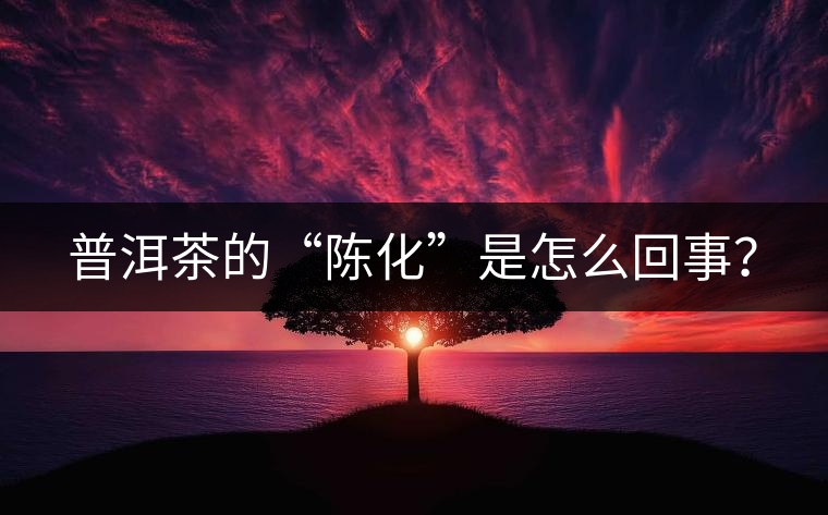 普洱茶的“陳化”是怎么回事? 普洱茶的“陳化”是怎么回事?