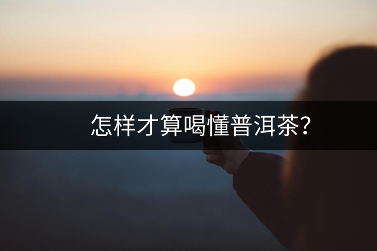 　怎樣才算喝懂普洱茶？