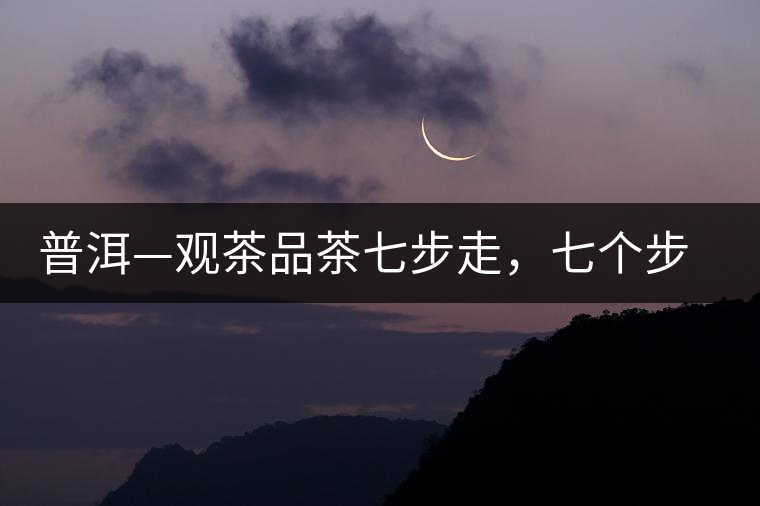 普洱—觀茶品茶七步走，七個步驟，喝懂普洱茶