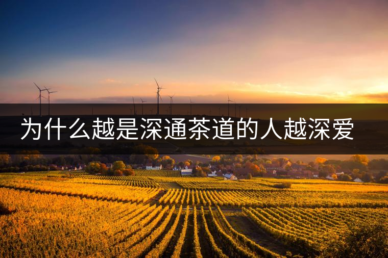 為什么越是深通茶道的人越深愛普洱茶？喜歡普洱茶，有三個原因。