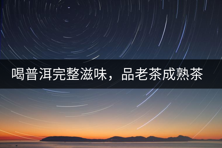 喝普洱完整滋味，品老茶成熟茶湯