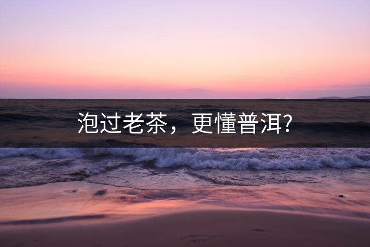 泡過老茶，更懂普洱?