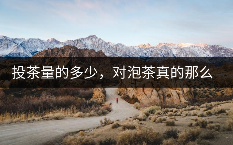 投茶量的多少，對泡茶真的那么重要嗎？