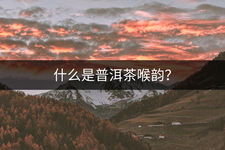 什么是普洱茶喉韻？