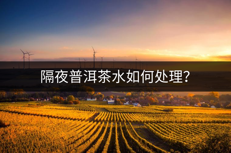 隔夜普洱茶水如何處理？