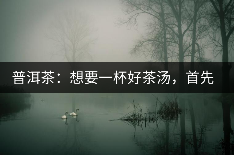 普洱茶:想要一杯好茶湯,首先要會醒茶 普洱茶:想要一杯好茶湯,首先要會醒茶