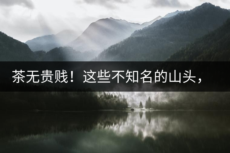 茶無貴賤！這些不知名的山頭，其實(shí)也產(chǎn)優(yōu)質(zhì)普洱茶！
