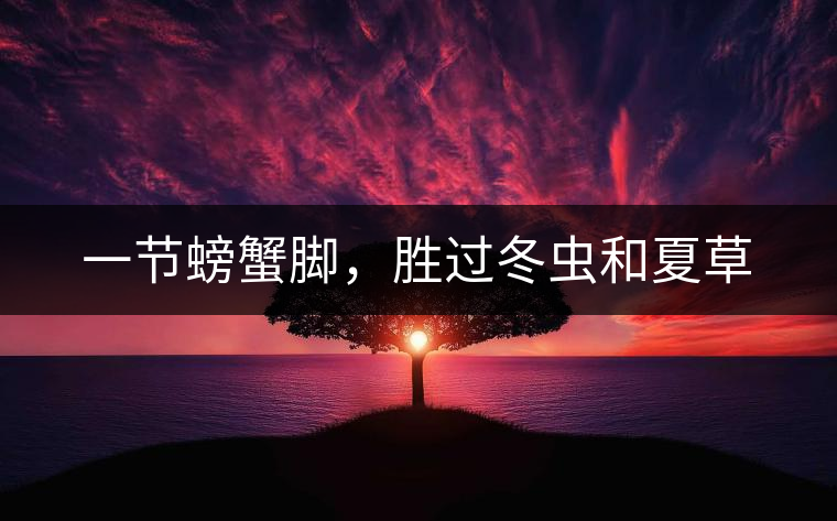 一節(jié)螃蟹腳，勝過(guò)冬蟲(chóng)和夏草