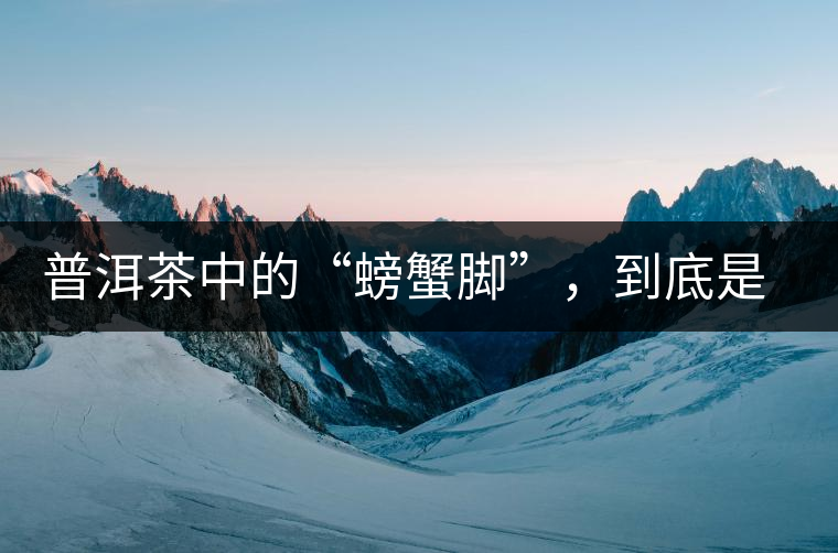 普洱茶中的“螃蟹腳”，到底是什么？如何辨別？