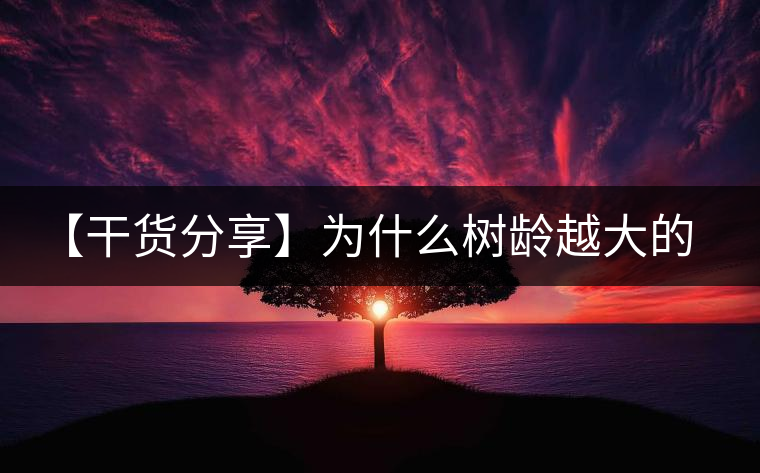 【干貨分享】為什么樹齡越大的普洱生茶，苦味越容易化掉？