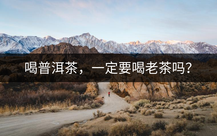 喝普洱茶，一定要喝老茶嗎？
