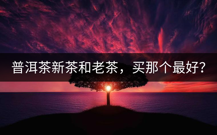 普洱茶新茶和老茶，買那個(gè)最好？
