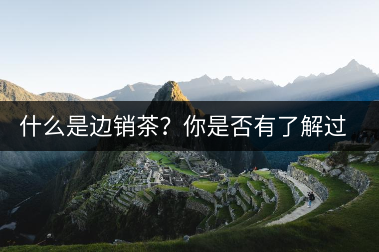 什么是邊銷茶？你是否有了解過邊銷茶呢？