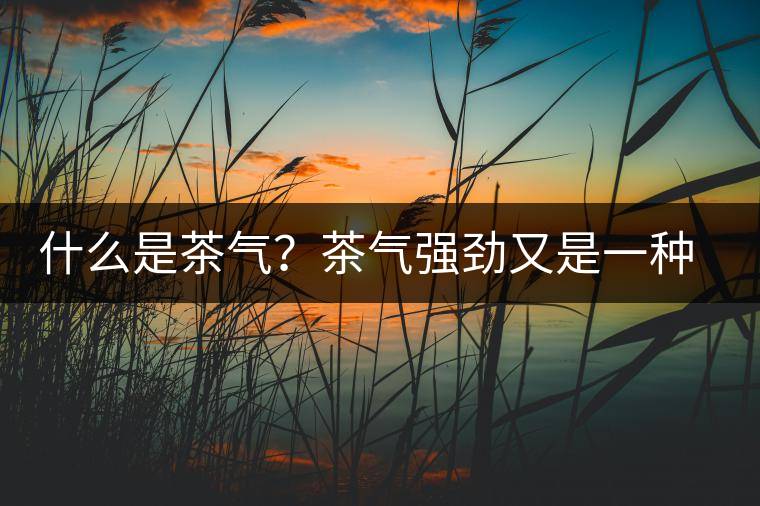 什么是茶氣？茶氣強勁又是一種怎樣的體驗？