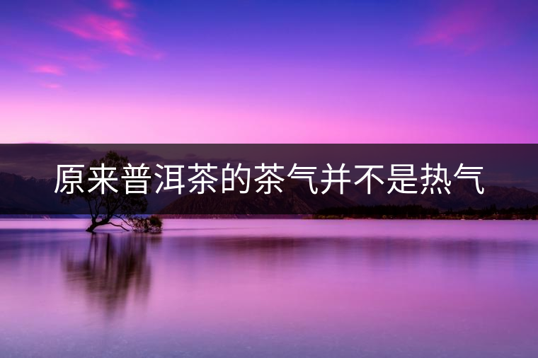 原來(lái)普洱茶的茶氣并不是熱氣 原來(lái)普洱茶的茶氣并不是熱氣