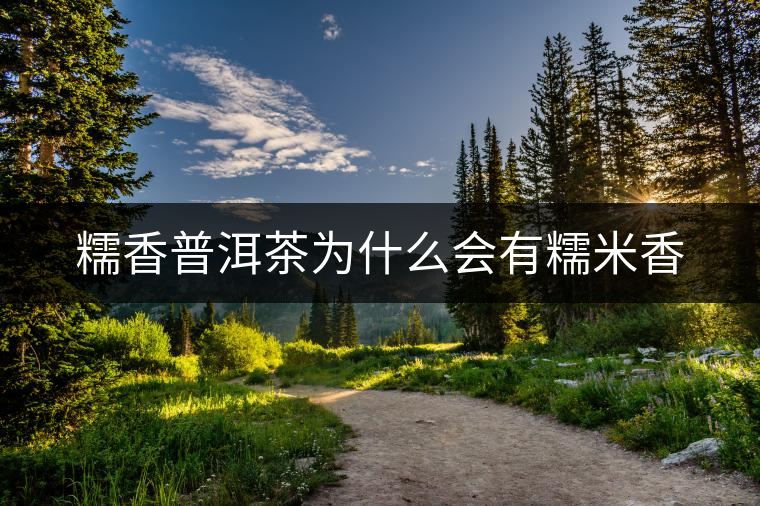 糯香普洱茶為什么會(huì)有糯米香 糯香普洱茶為什么會(huì)有糯米香