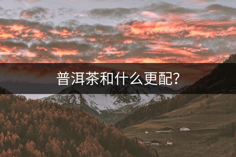 普洱茶和什么更配？