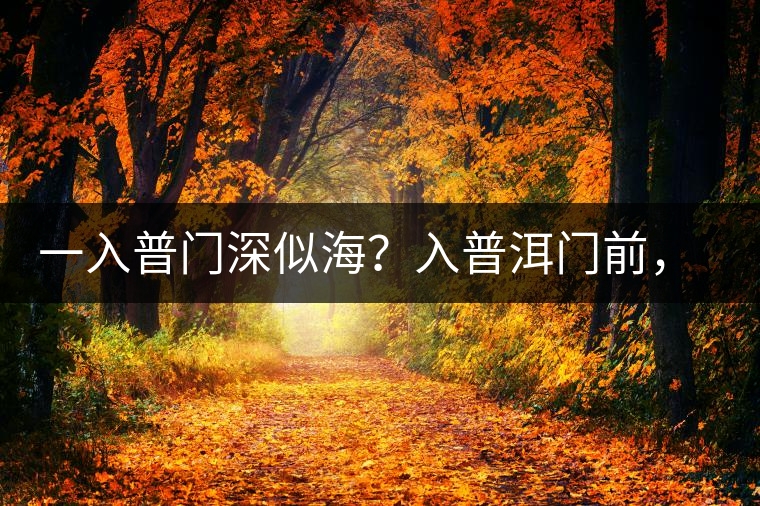 一入普門深似海？入普洱門前，你需要了解這些
