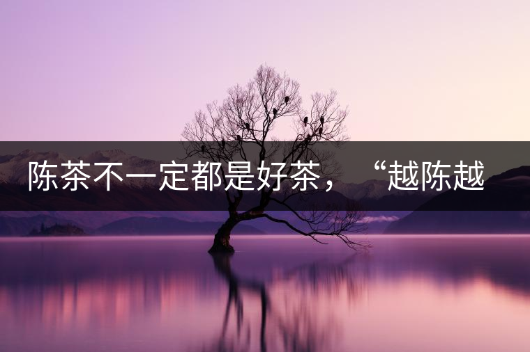 陳茶不一定都是好茶，“越陳越香”也要看茶種類！