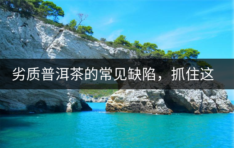 劣質(zhì)普洱茶的常見缺陷，抓住這三個(gè)特征，拒絕劣質(zhì)茶！
