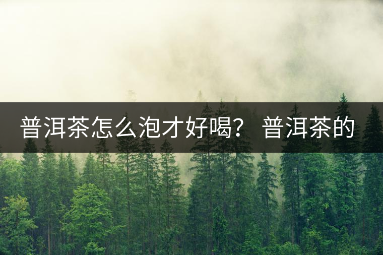 普洱茶怎么泡才好喝？ 普洱茶的沖泡技巧！