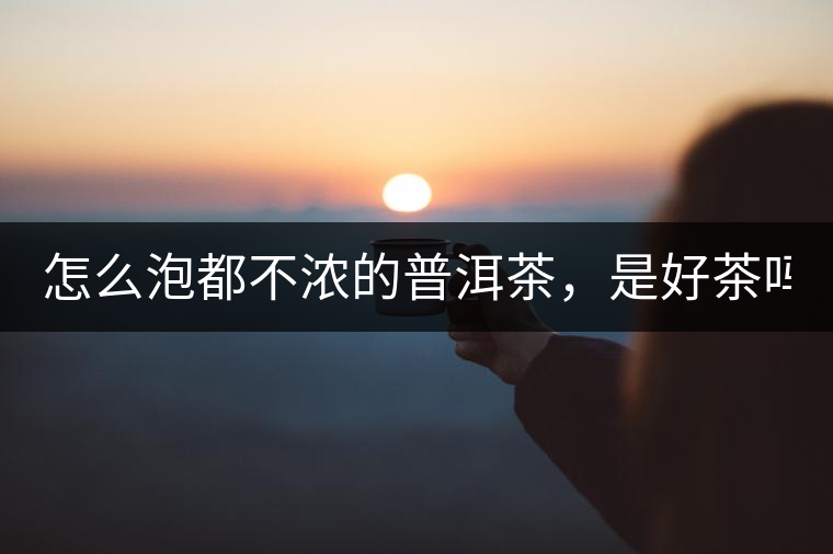 怎么泡都不濃的普洱茶，是好茶嗎？