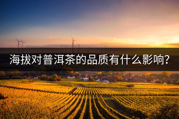 海拔對普洱茶的品質(zhì)有什么影響？