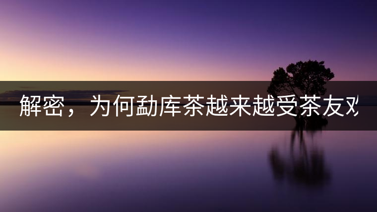 解密，為何勐庫(kù)茶越來(lái)越受茶友歡迎！