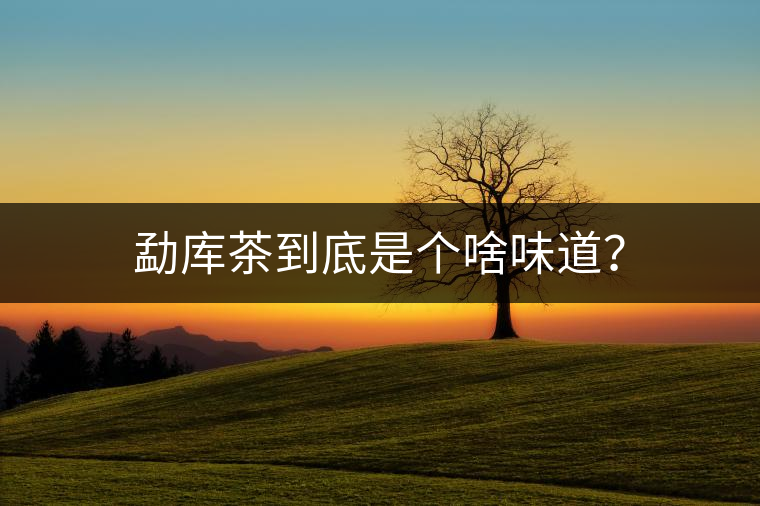 勐庫茶到底是個啥味道？