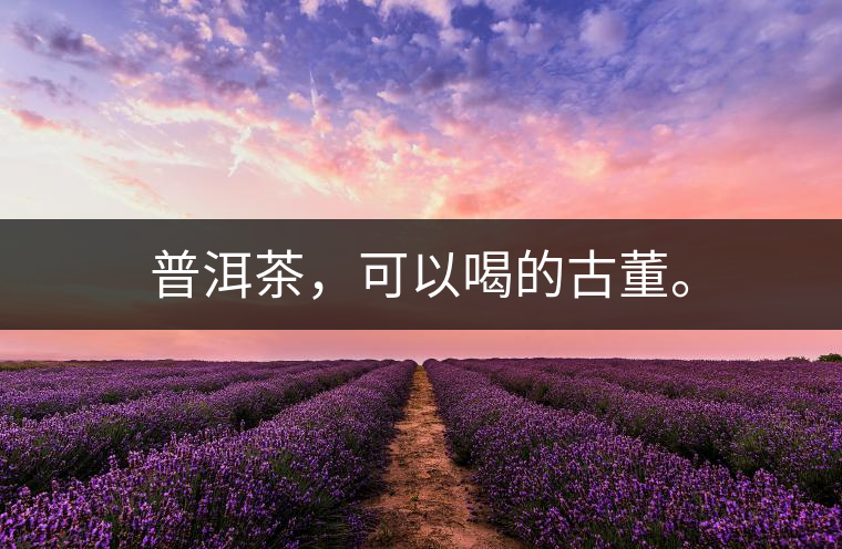 普洱茶，可以喝的古董。