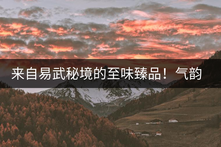 來(lái)自易武秘境的至味臻品！氣韻強(qiáng)勁，余韻深邃，一口喚醒你的味蕾~