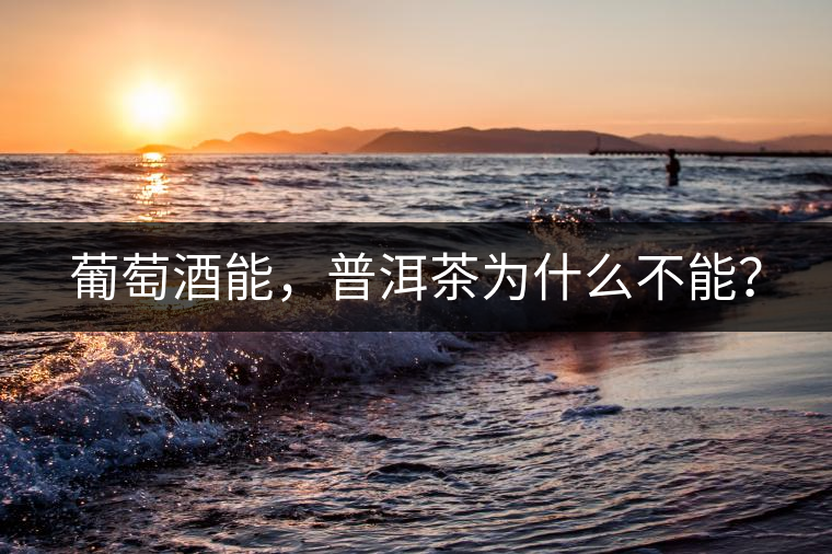 葡萄酒能，普洱茶為什么不能？