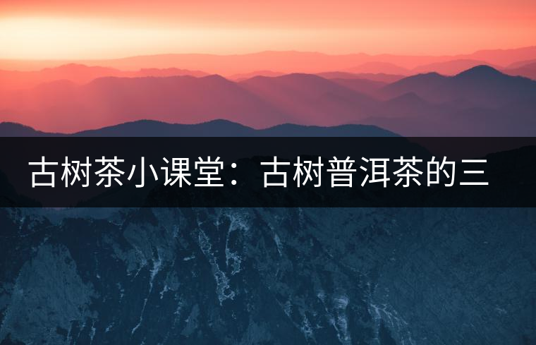 古樹(shù)茶小課堂：古樹(shù)普洱茶的三大價(jià)值