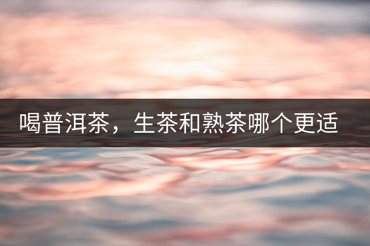 喝普洱茶，生茶和熟茶哪個更適合你？